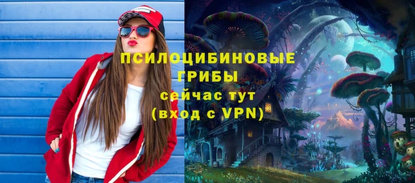 гидра Дмитров