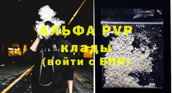 первитин Богданович