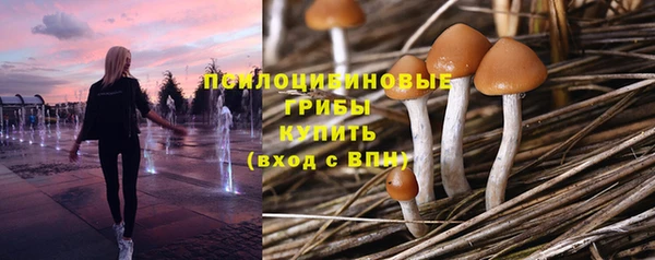 марки lsd Богородск