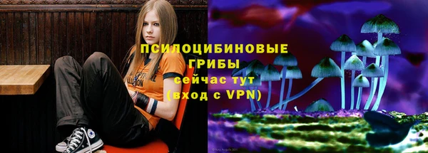 марки lsd Богородск