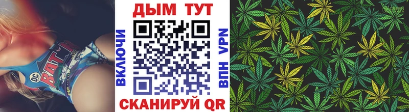 Каннабис SATIVA & INDICA  Павловская 